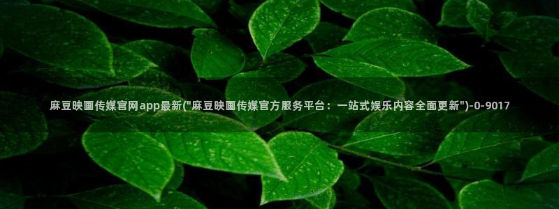 麻豆传媒md官网:麻豆映画传媒官网app最新(\