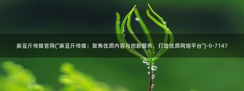 麻豆映传媒官网:麻豆斤传媒官网(\