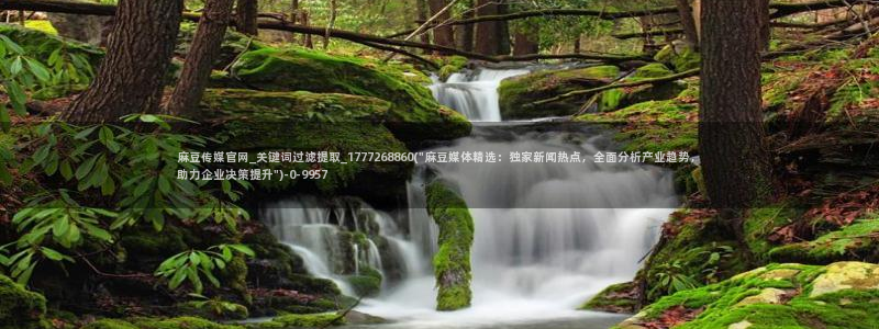 麻豆传媒画映官网:麻豆传媒官网_关键词过滤提取_1777268860(\